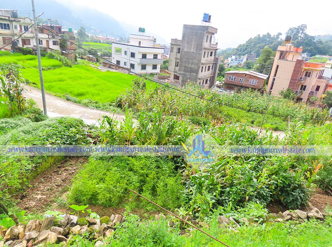 ghar-jagga