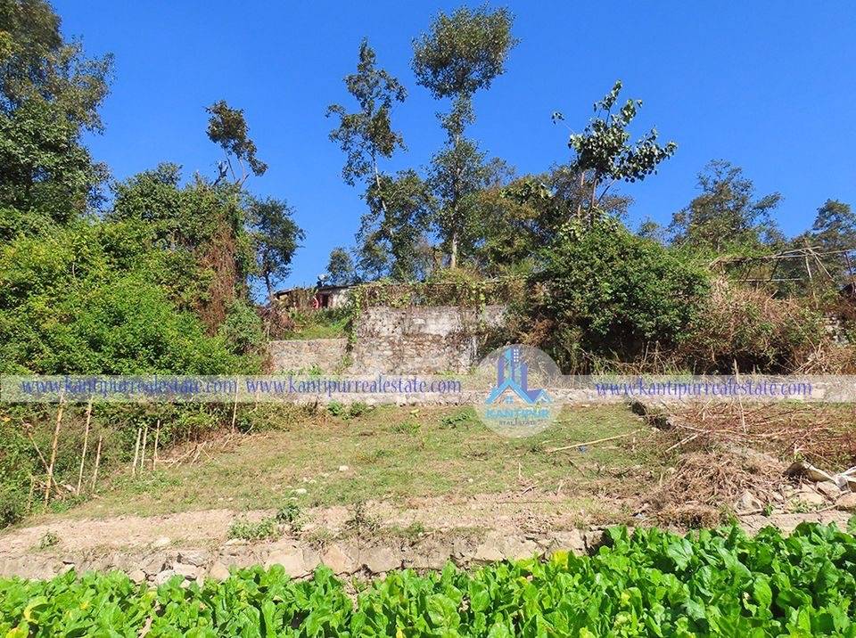 ghar-jagga