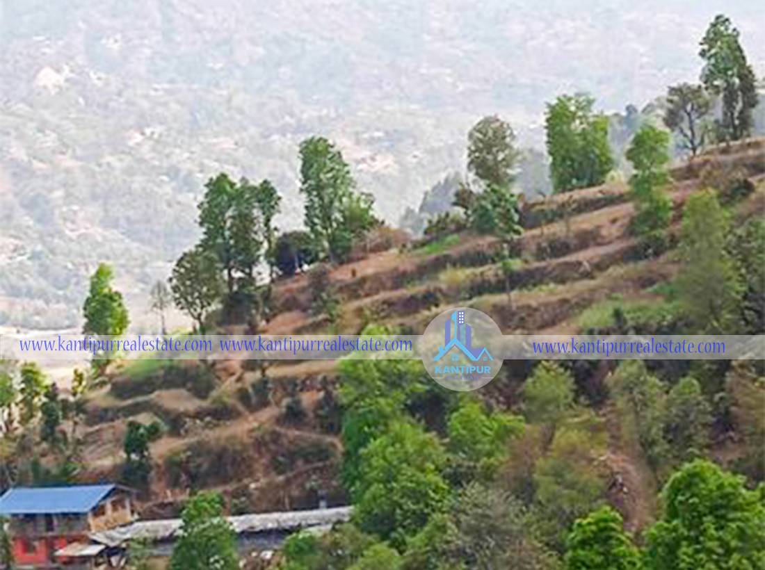ghar-jagga