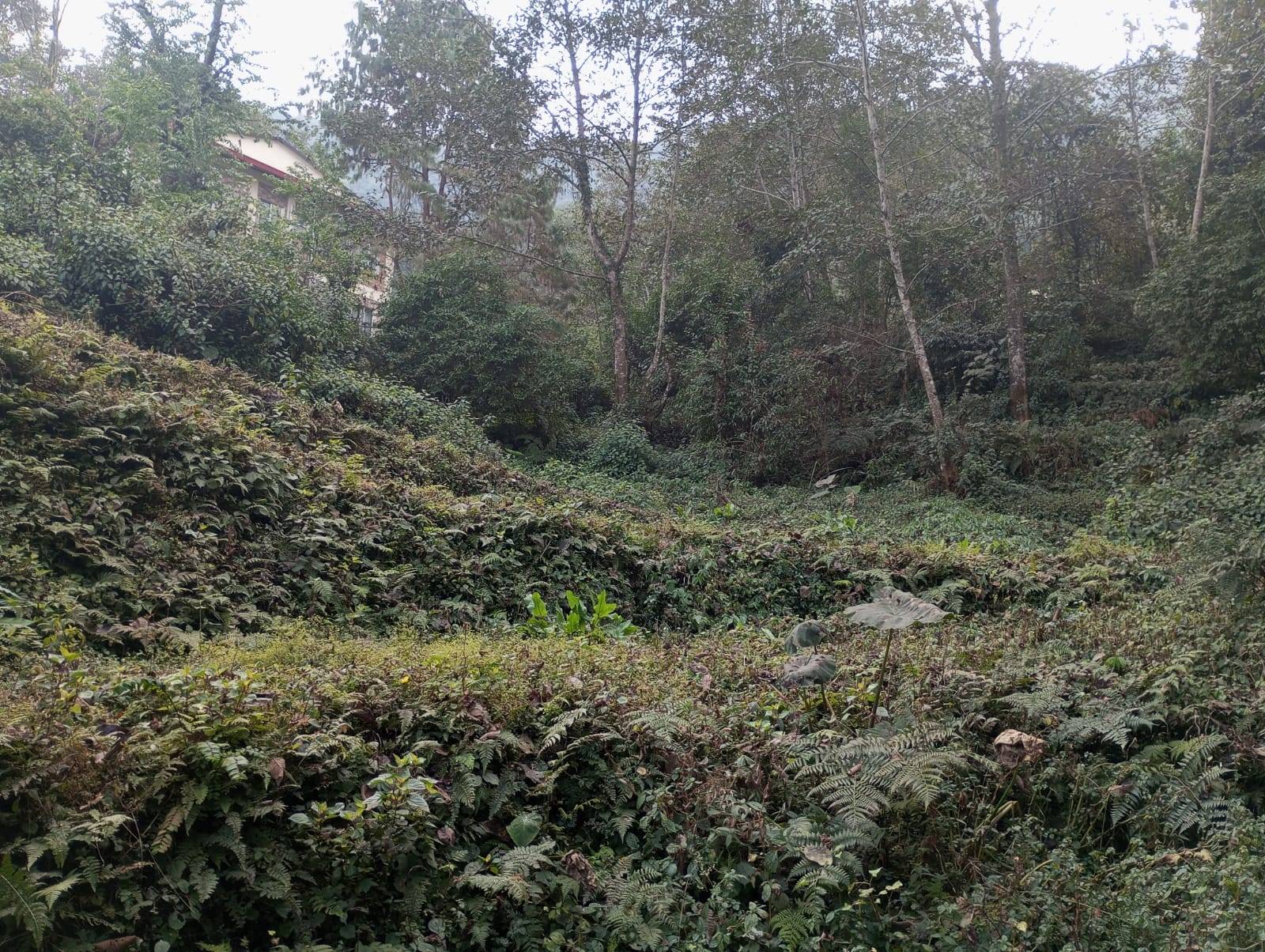 ghar-jagga
