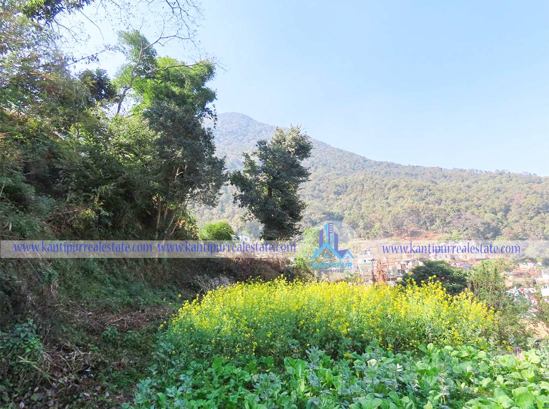 ghar-jagga