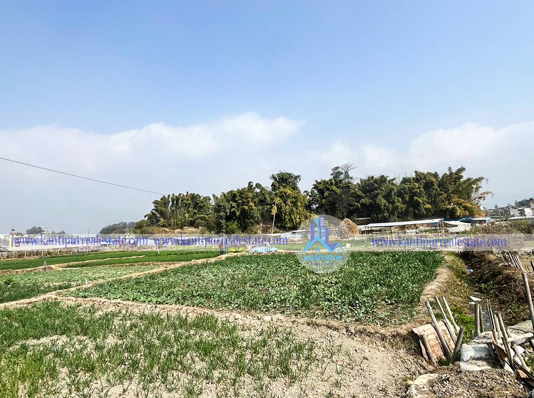 ghar-jagga