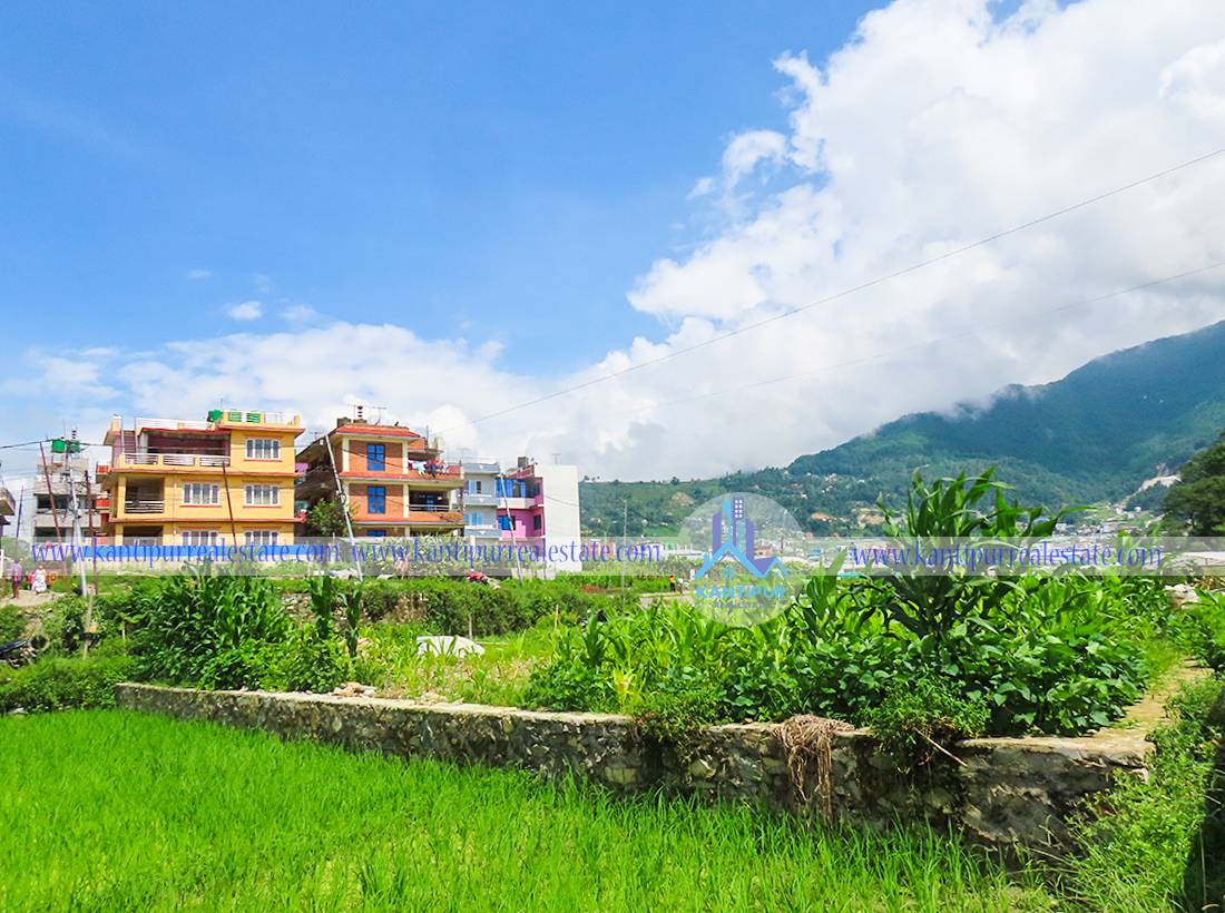 ghar-jagga