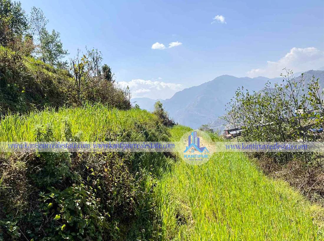 ghar-jagga