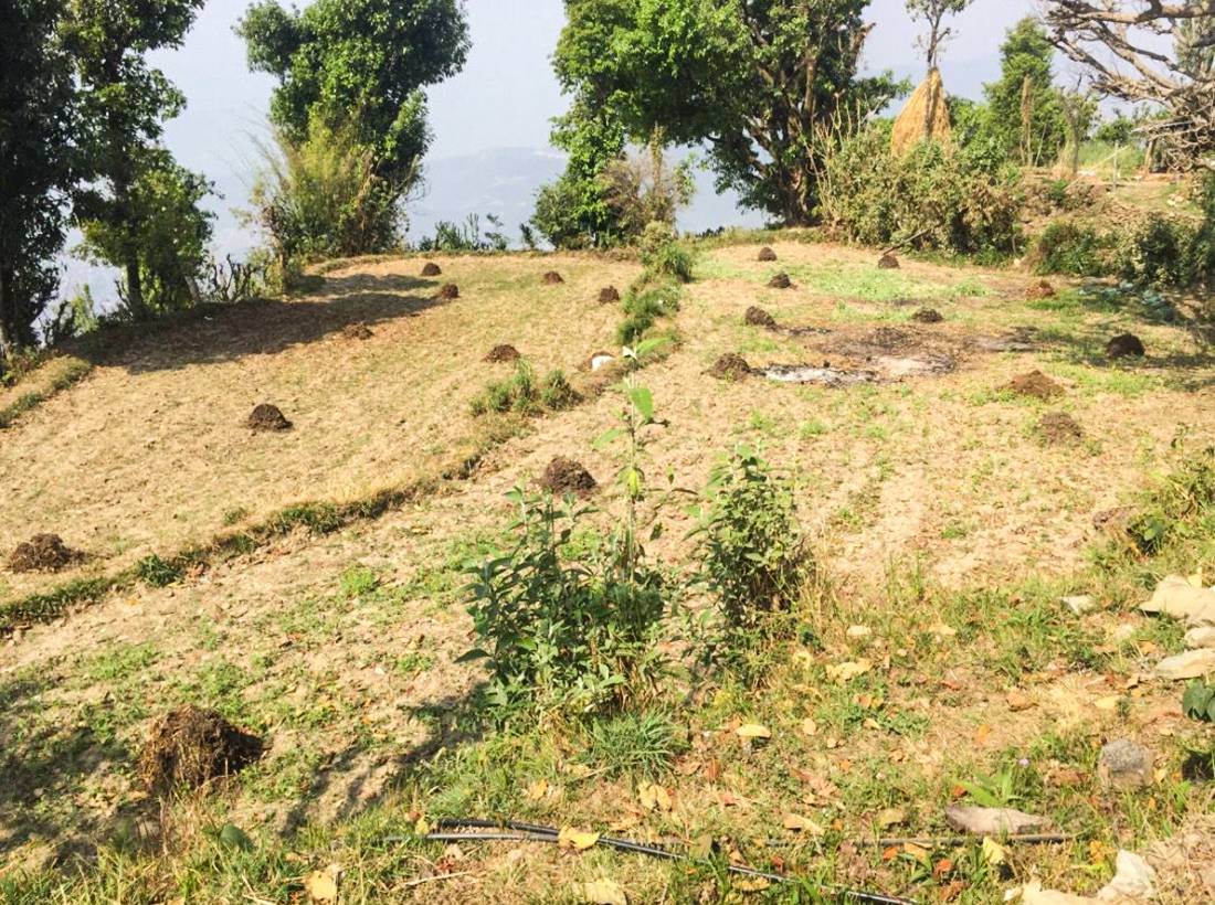 ghar-jagga